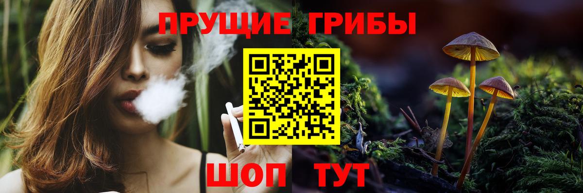Йошкар-Ола  что такое   Псилоцибиновые грибы Psilocybine cubensis  Вход с VPN  Галлюциногенные грибы Magic Shrooms 