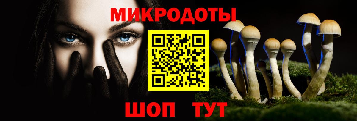 Псилоцибиновые грибы Psilocybine cubensis Йошкар-Ола